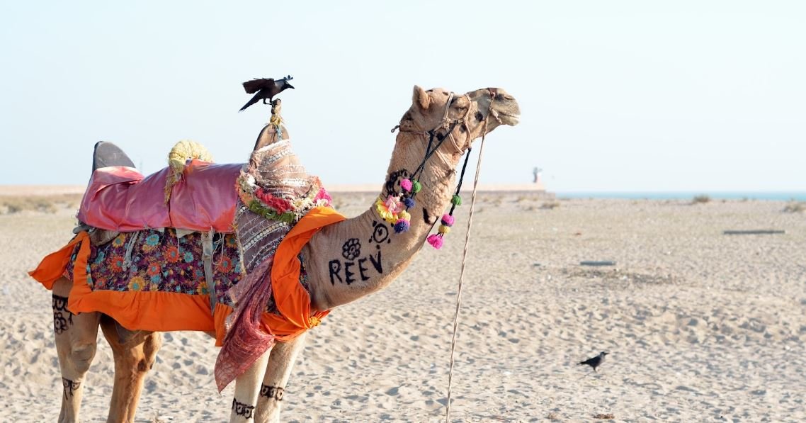 Rann Utsav Gujarat