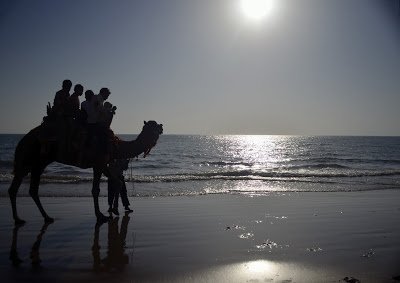 Mandvi Beach, Gujarat