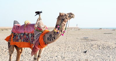 Bhuj, Gujarat