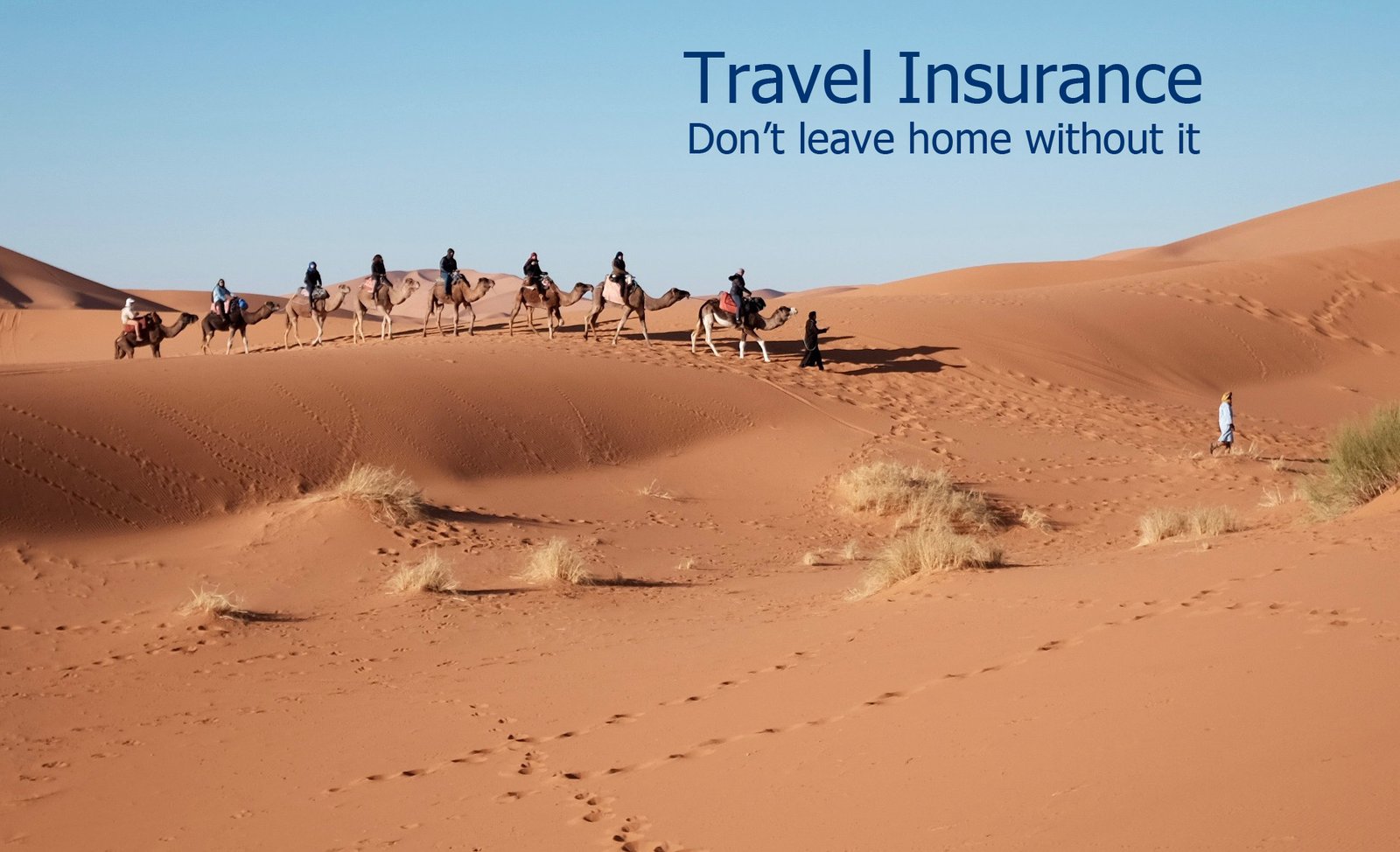 travel insurance