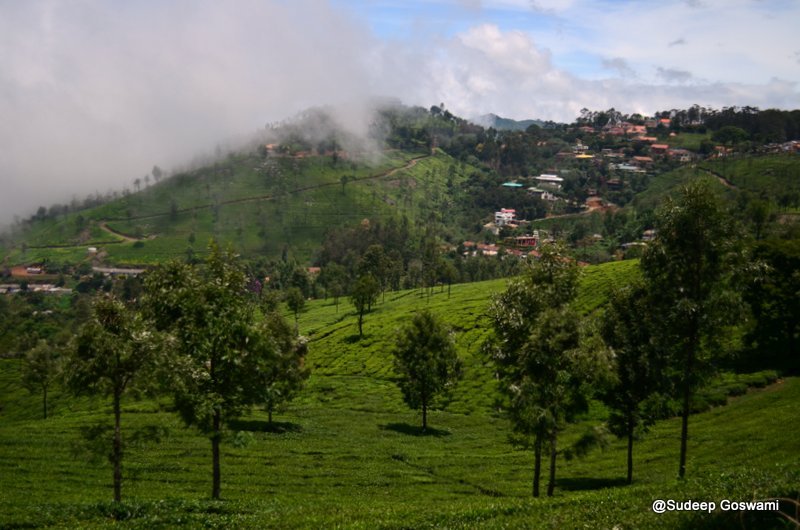 Ooty