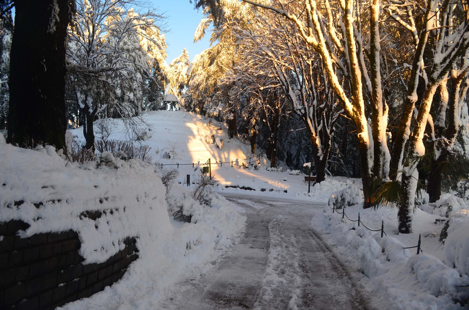 Shimla in Himachal