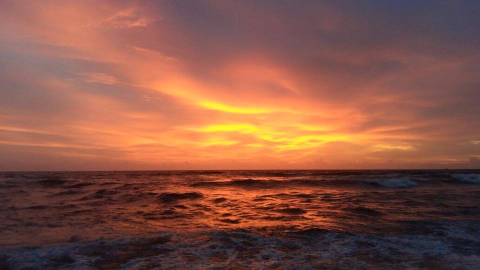 Candolim beach Goa