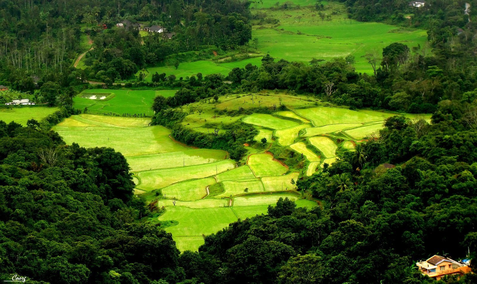 Coorg by Travel Jaunts