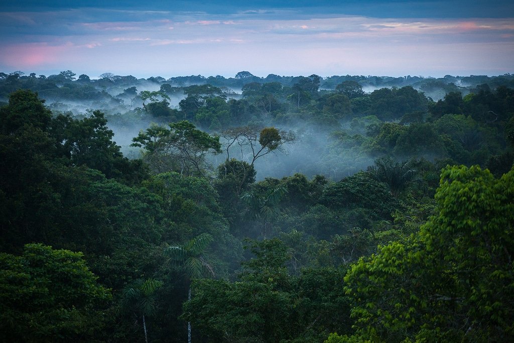 Amazon rainforest by Travel Jaunts