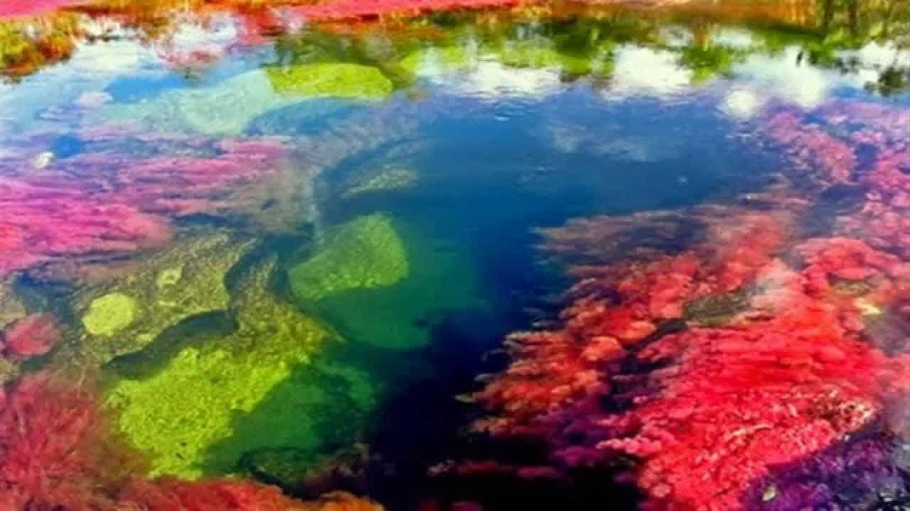 River of five colors, Columbia by Travel Jaunts