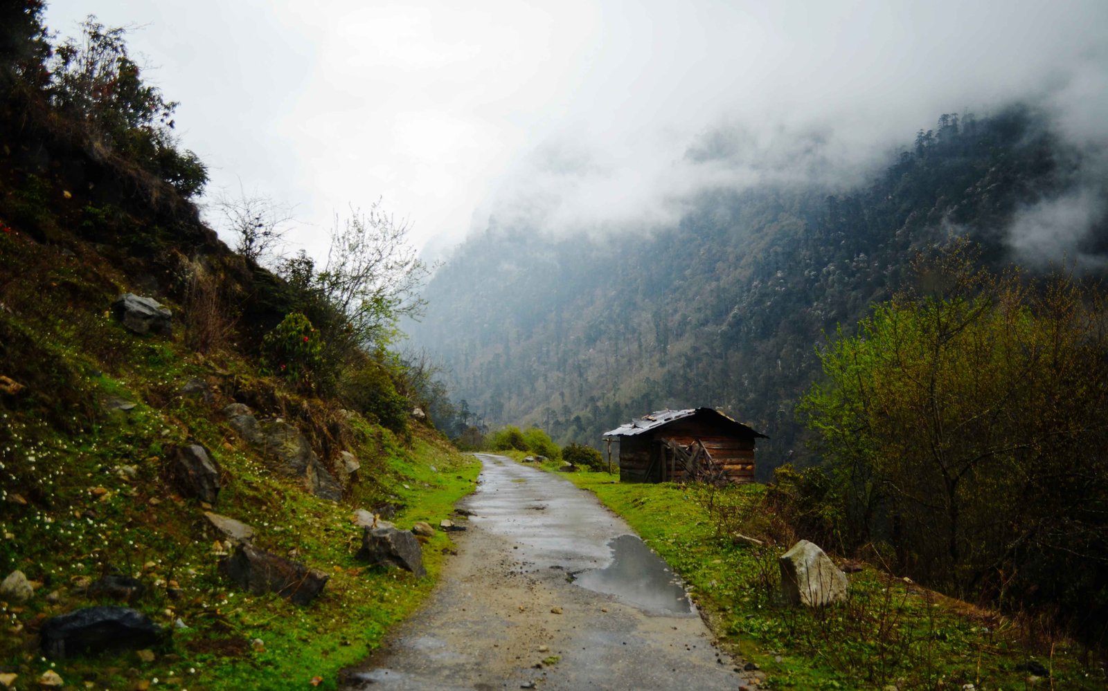 Tawang valley by Travel Jaunts