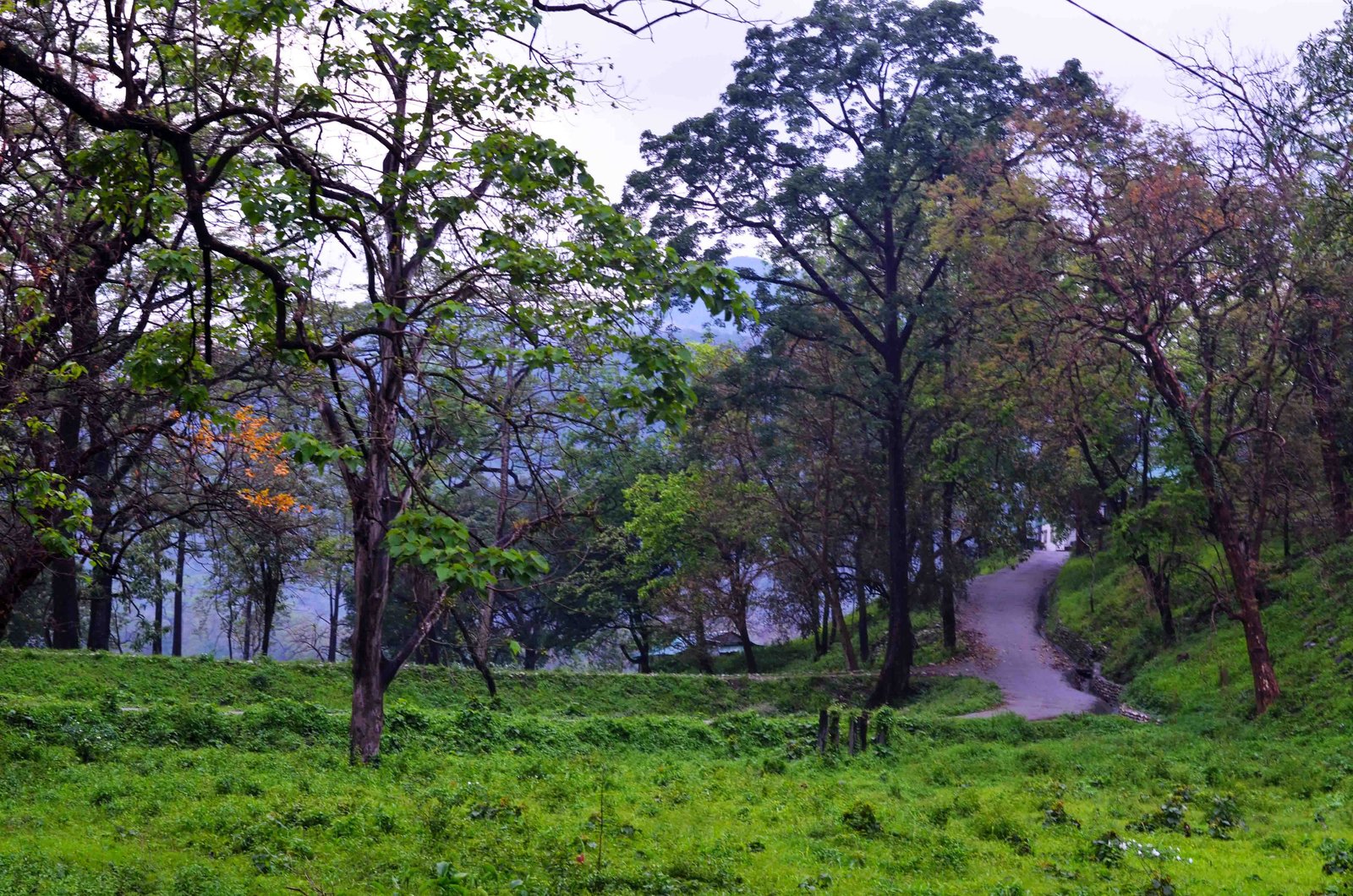 The road to Bhutan from Manas National Park by Travel Jaunts