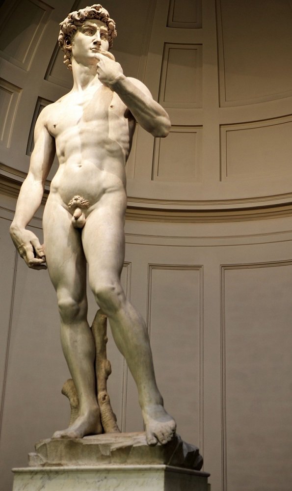 Michelangelo's David