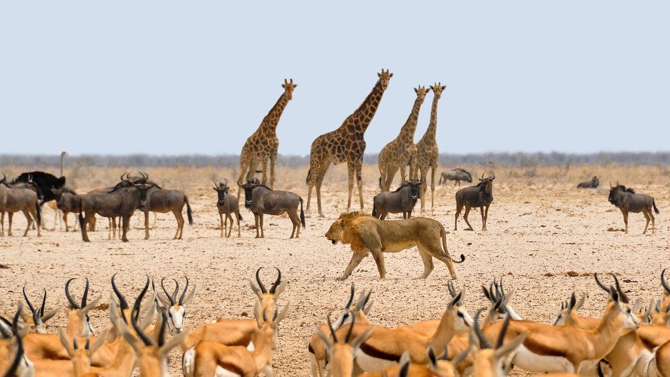 namibia tours by travel jaunts