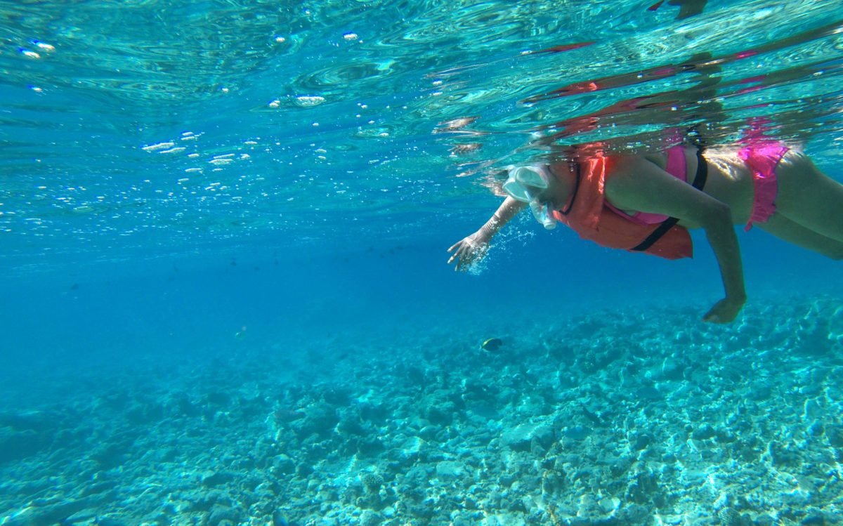 Snorkeling in great barrier reef by Travel Jaunts