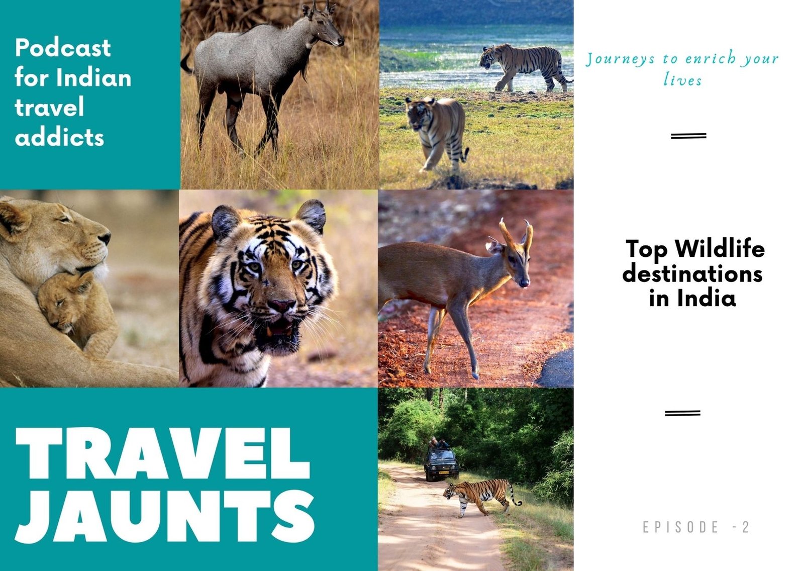 Top wildlife destinations India Podcast