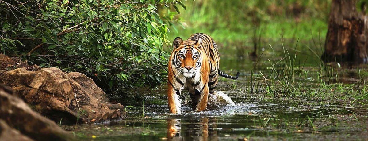 How to live like Royalty in India | Travel Jaunts How to live like Royalty in India | Travel Jaunts