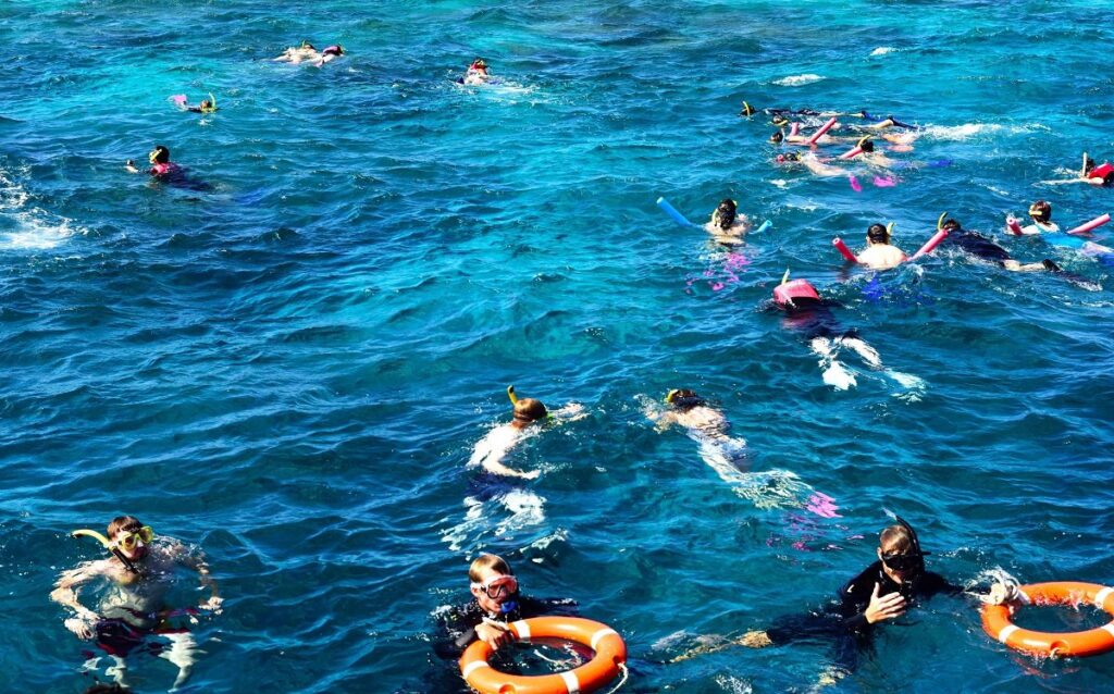 Snorkeling & Scuba in Great barrier reef, Cairns Australia