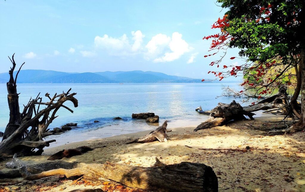 Andamans- The best beach destination of India