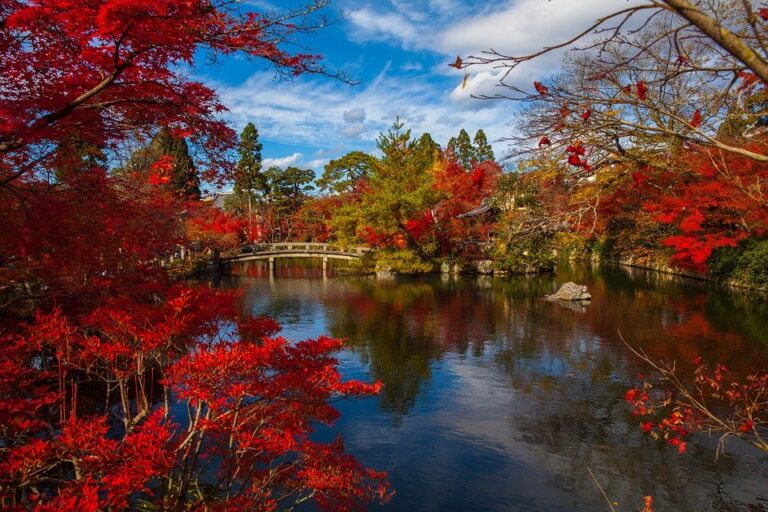Japan 2