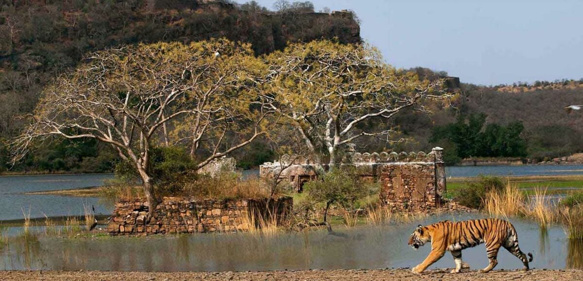 How to live like Royalty in India | Travel Jaunts How to live like Royalty in India | Travel Jaunts