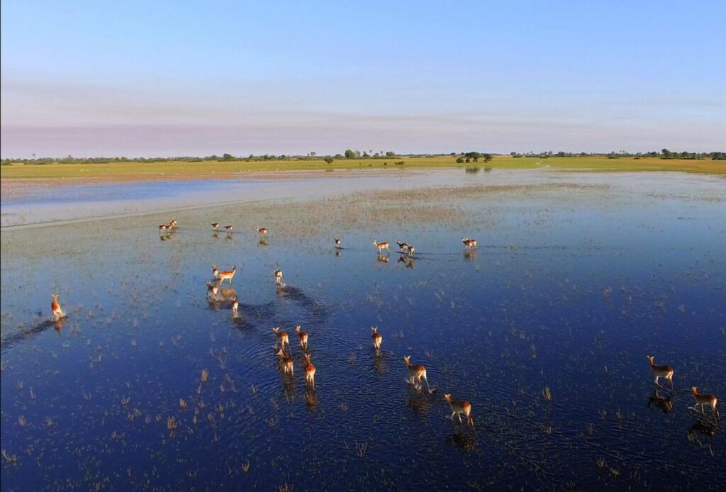 Okavango Delta (Botswana)
