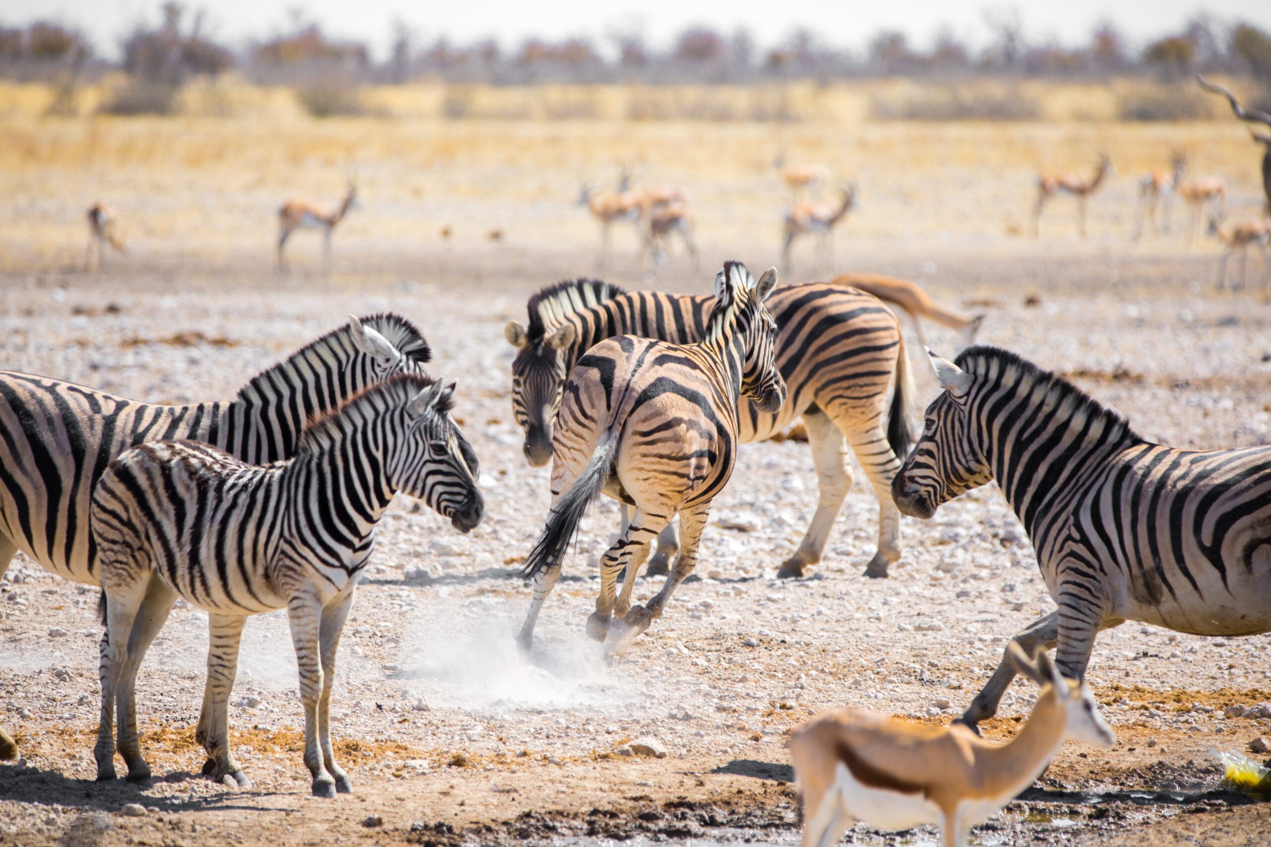 Namibia